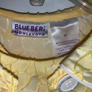 Toddler girls party dress with matching coat